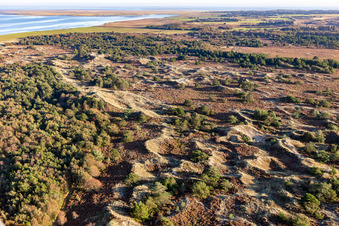 Parc national de la mer des Wadden à Fanø dans le département Syddanmark, Danemark d'un drone
