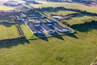Vue aérienne de Ferme Rudbeck Fanø à Fanø dans le département Syddanmark, Danemark