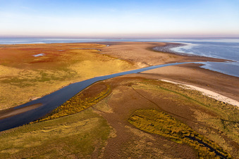 Vue oblique de Fanø dans le département Syddanmark, Danemark