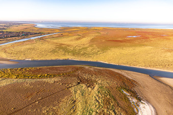 Vue d'oiseau de Fanø dans le département Syddanmark, Danemark