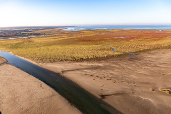 Fanø dans le département Syddanmark, Danemark du point de vue du drone