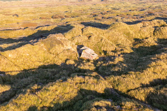Vue aérienne de Bunker sur la côte ouest à Fanø dans le département Syddanmark, Danemark