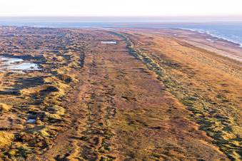 Photographie aérienne de Parc national de la mer des Wadden à Fanø dans le département Syddanmark, Danemark