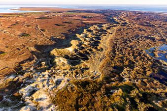 Vue aérienne de Dunes de sable et paysage côtier dans le parc national de la mer des Wadden à Fanø à Fanø dans le département Syddanmark, Danemark