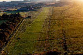 Vue aérienne de Aéroport international avec bétail des Highlands à Fanø dans le département Syddanmark, Danemark