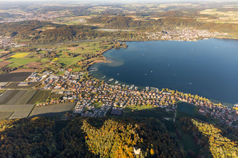 Vue aérienne de Zone riveraine du lac de Constance à le quartier Bodman in Bodman-Ludwigshafen dans le département Bade-Wurtemberg, Allemagne