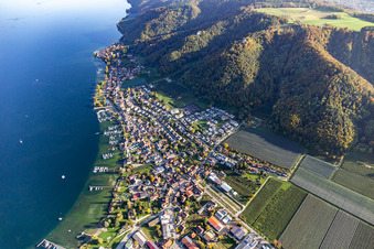 Vue aérienne de Marina - zone portuaire au bord du lac de Constance en Bodman à le quartier Bodman in Bodman-Ludwigshafen dans le département Bade-Wurtemberg, Allemagne