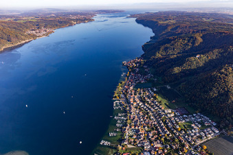 Vue aérienne de Marina - zone portuaire au bord du lac de Constance en Bodman à le quartier Bodman in Bodman-Ludwigshafen dans le département Bade-Wurtemberg, Allemagne