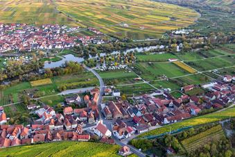 Vue aérienne de Les rives du Main en Escherndorf à le quartier Escherndorf in Volkach dans le département Bavière, Allemagne