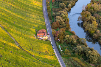 Vue aérienne de Gasthaus Mainaussicht Gifthütte à le quartier Escherndorf in Volkach dans le département Bavière, Allemagne