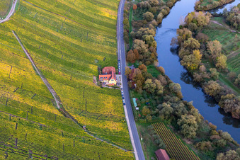 Vue aérienne de Restaurant Gasthaus Mainaussicht Gifthütte sur la boucle de la rivière Main à le quartier Escherndorf in Volkach dans le département Bavière, Allemagne
