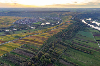 Vue aérienne de Boucle sur le cours de la rivière Main à le quartier Astheim in Volkach dans le département Bavière, Allemagne