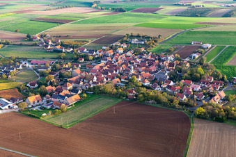 Vue aérienne de Neuses a.Berg à le quartier Neuses am Berg in Dettelbach dans le département Bavière, Allemagne