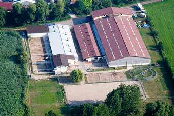 Ferme équestre Oliver Wehnes à le quartier Minderslachen in Kandel dans le département Rhénanie-Palatinat, Allemagne hors des airs