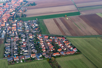 Quartier Hayna in Herxheim bei Landau dans le département Rhénanie-Palatinat, Allemagne du point de vue du drone