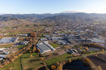Vue aérienne de Locaux de l'usine LuK GmbH & Co. KG à Bußmatten à le quartier Vimbuch in Bühl dans le département Bade-Wurtemberg, Allemagne
