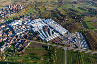 Vue aérienne de Locaux de l'entreprise Progress-Werk Oberkirch AG avec halls, bâtiments d'entreprise et installations de production à Stadelhofen à le quartier Stadelhofen in Oberkirch dans le département Bade-Wurtemberg, Allemagne