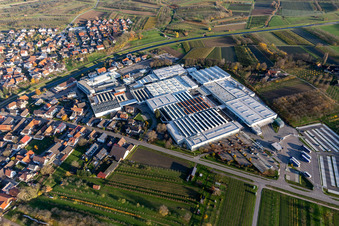 Vue aérienne de Usine de progrès Oberkirch à le quartier Stadelhofen in Oberkirch dans le département Bade-Wurtemberg, Allemagne