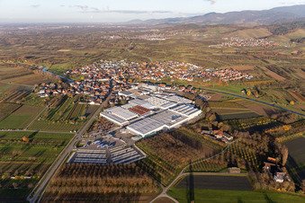 Vue aérienne de Locaux de l'entreprise Progress-Werk Oberkirch AG avec halls, bâtiments d'entreprise et installations de production à Stadelhofen à le quartier Stadelhofen in Oberkirch dans le département Bade-Wurtemberg, Allemagne