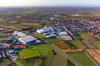 Vue aérienne de Quartier Zusenhofen in Oberkirch dans le département Bade-Wurtemberg, Allemagne