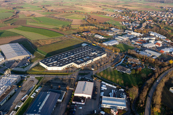 Vue aérienne de Zone industrielle et implantation d'entreprise avec hall de TBV Kühlfahrzeuge GmbH et ORSAY GmbH à le quartier Sand in Willstätt dans le département Bade-Wurtemberg, Allemagne