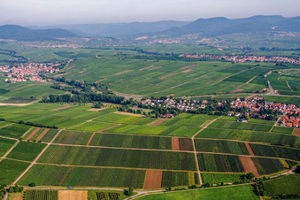Vue aérienne de Lieu du sud-est à le quartier Wollmesheim in Landau in der Pfalz dans le département Rhénanie-Palatinat, Allemagne