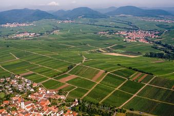 Vue aérienne de Lieu vu de l'est à le quartier Mörzheim in Landau in der Pfalz dans le département Rhénanie-Palatinat, Allemagne