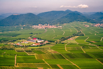Vue aérienne de Village viticole en contrebas du Madenburg vu de l'ouest à Eschbach dans le département Rhénanie-Palatinat, Allemagne