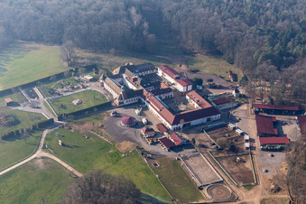 Vue aérienne de Étal frit au monastère de Liebfrauenberg à Bad Bergzabern dans le département Rhénanie-Palatinat, Allemagne