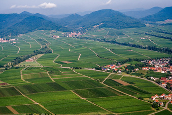 Vue aérienne de Villages viticoles au bord du Haardt depuis l'est à Ilbesheim bei Landau dans le département Rhénanie-Palatinat, Allemagne