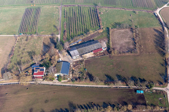 Vue aérienne de Club d'équitation à Oberotterbach dans le département Rhénanie-Palatinat, Allemagne