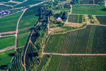 Vue aérienne de Réserve naturelle et chapelle Kleine Kalmit à Ilbesheim bei Landau dans le département Rhénanie-Palatinat, Allemagne