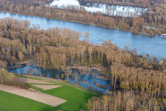 Vue aérienne de Inondations dans les prairies du Rhin à Neupotz dans le département Rhénanie-Palatinat, Allemagne