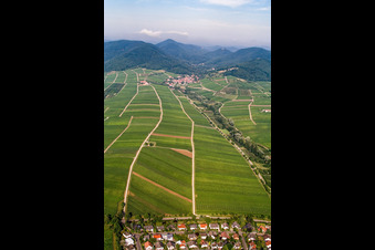 Vue aérienne de Birnbachtal vu de l'est à Leinsweiler dans le département Rhénanie-Palatinat, Allemagne
