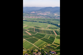 Vue aérienne de Ranschbachtal vu du sud-est à le quartier Arzheim in Landau in der Pfalz dans le département Rhénanie-Palatinat, Allemagne
