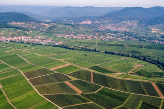 Vue aérienne de Ranschbachtal vu du sud-est à le quartier Arzheim in Landau in der Pfalz dans le département Rhénanie-Palatinat, Allemagne