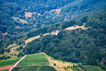 Vue aérienne de Slevogthof vu de l'est à Leinsweiler dans le département Rhénanie-Palatinat, Allemagne