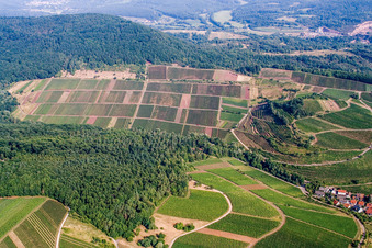 Photographie aérienne de Vignoble Keschdebusch (Kastanienbusch) à Birkweiler dans le département Rhénanie-Palatinat, Allemagne