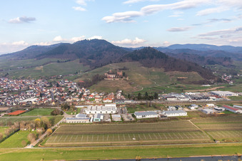 Vue aérienne de Ortenberg dans le département Bade-Wurtemberg, Allemagne