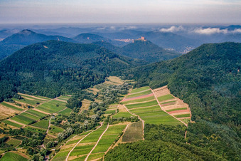 Vue aérienne de Ranschbachtal vu de l'est à Ranschbach dans le département Rhénanie-Palatinat, Allemagne