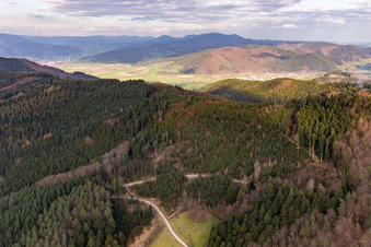 Vue aérienne de Seelbach dans le département Bade-Wurtemberg, Allemagne
