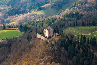 Vue aérienne de Château de Hohengeroldseck à Seelbach dans le département Bade-Wurtemberg, Allemagne