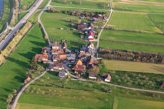 Vue aérienne de Rue Prinzbacher à Steinach dans le département Bade-Wurtemberg, Allemagne
