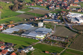 Vue aérienne de Toits en verre dans les rangées de serres pour la culture de fleurs chez Göppert Gartencenter GmbH à le quartier Bollenbach in Haslach im Kinzigtal dans le département Bade-Wurtemberg, Allemagne