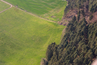 Vue aérienne de Amour printanier à Biberach dans le Kinzigtal en Forêt-Noire à Biberach dans le département Bade-Wurtemberg, Allemagne