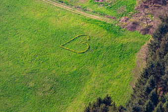 Vue aérienne de Amour printanier à Biberach dans le Kinzigtal en Forêt-Noire à Biberach dans le département Bade-Wurtemberg, Allemagne