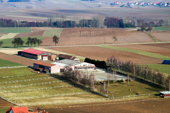 Ranch à Seebach dans le département Bas Rhin, France d'en haut