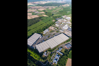 Vue aérienne de Zone industrielle et implantation d'entreprise Horst avec Friedrich Zufall GmbH & Co. KG International Freight Forwarding à le quartier Minderslachen in Kandel dans le département Rhénanie-Palatinat, Allemagne