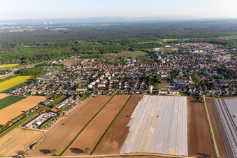 Vue aérienne de Kandel dans le département Rhénanie-Palatinat, Allemagne