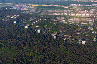 Vue oblique de Quartier Waldstadt in Karlsruhe dans le département Bade-Wurtemberg, Allemagne